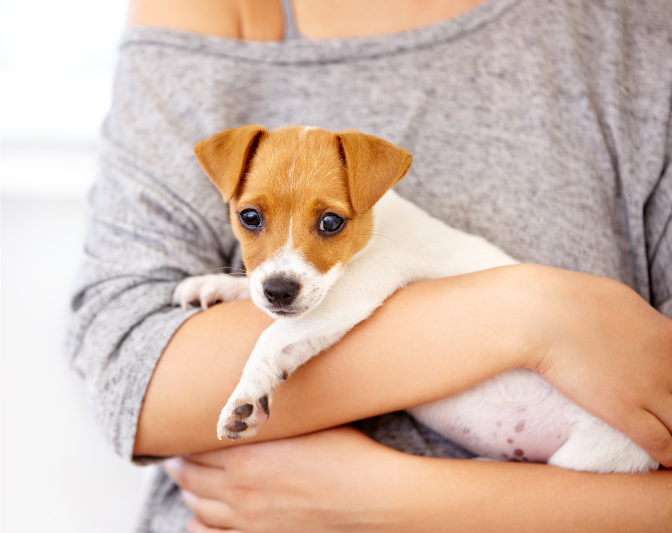 Soltera Tramita tu 1er Hipoteca